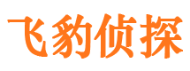 曲水市婚外情调查